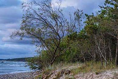 快船逆转湖人，西部决赛中乔治末节爆发，快船队乔治什么时候复出