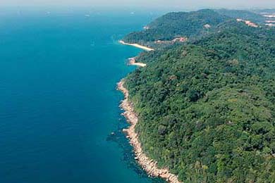 勇士连胜不止库里火力全开，nba勇士连胜纪录是多少